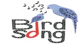 BirdSong Music